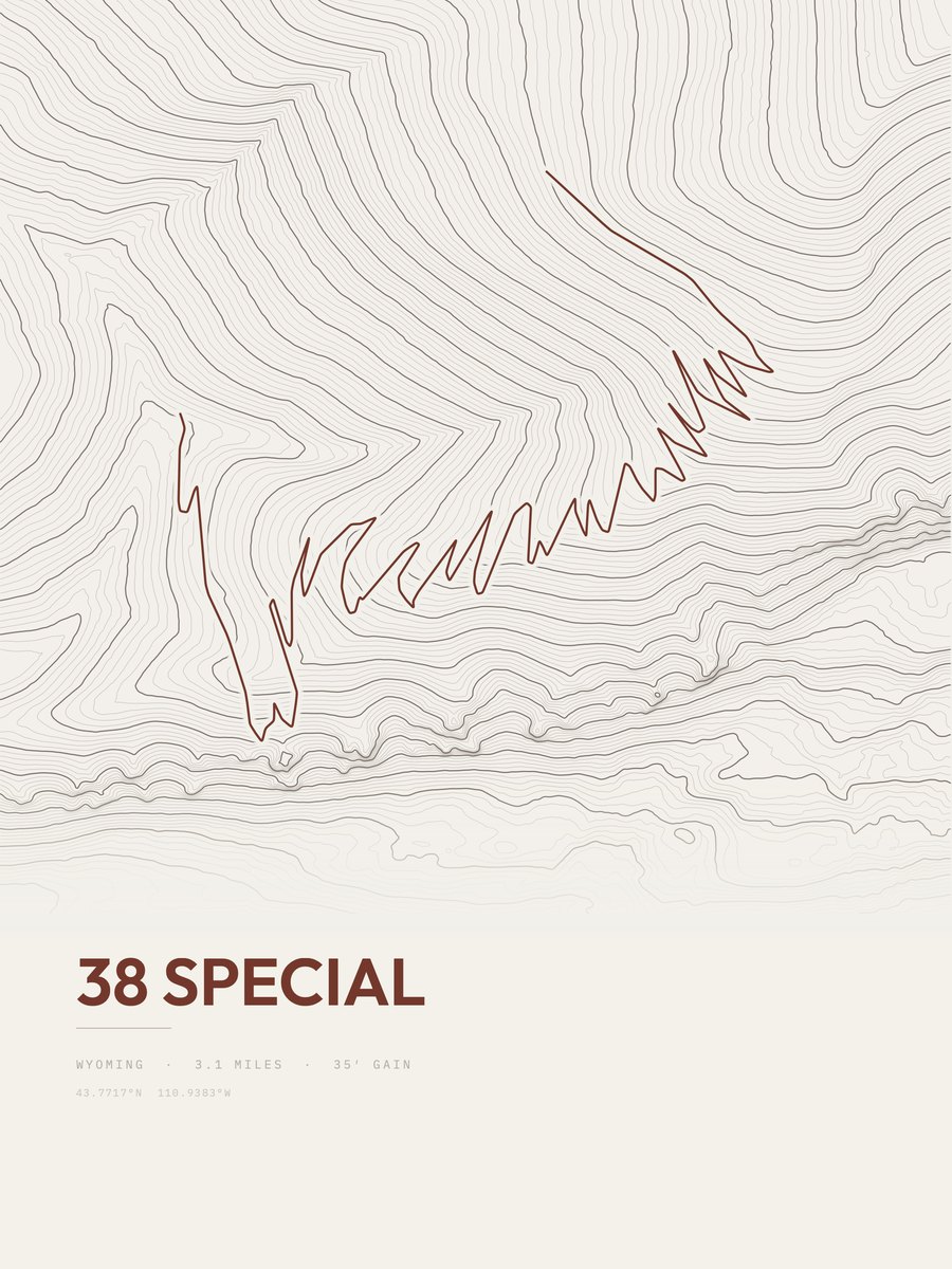 38 Special Topographic print