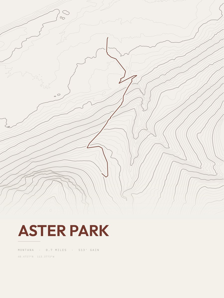 Aster Park Topographic print