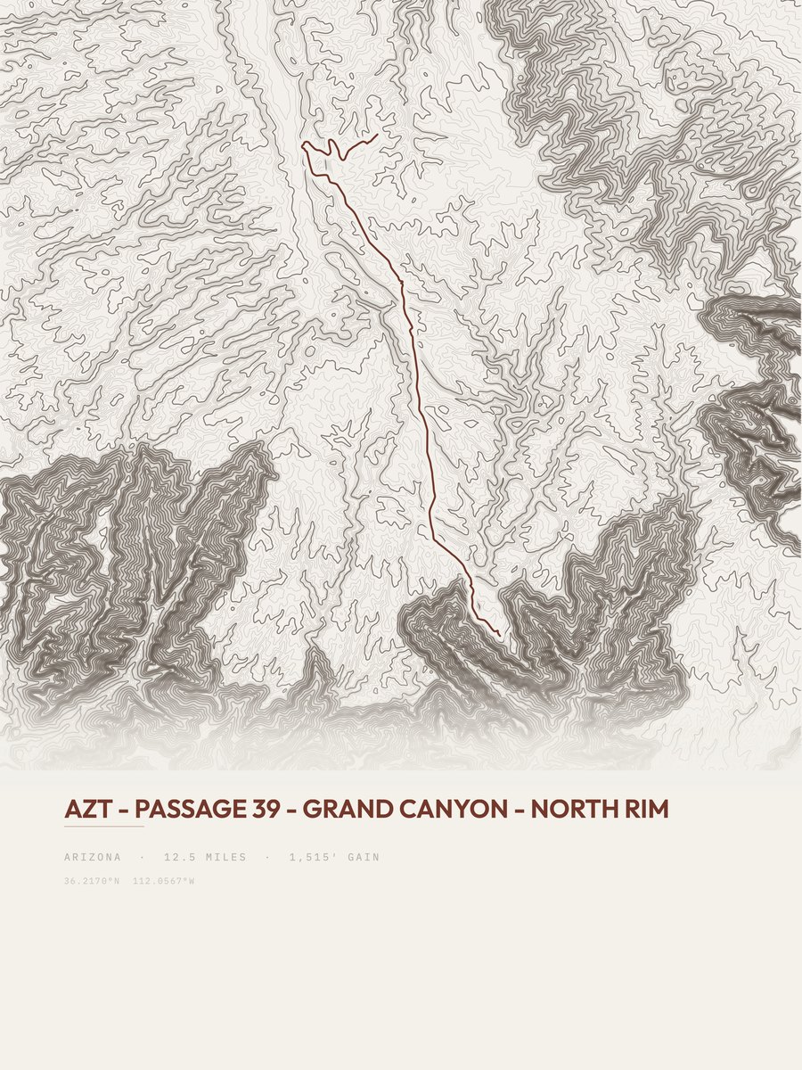 AZT Topographic print