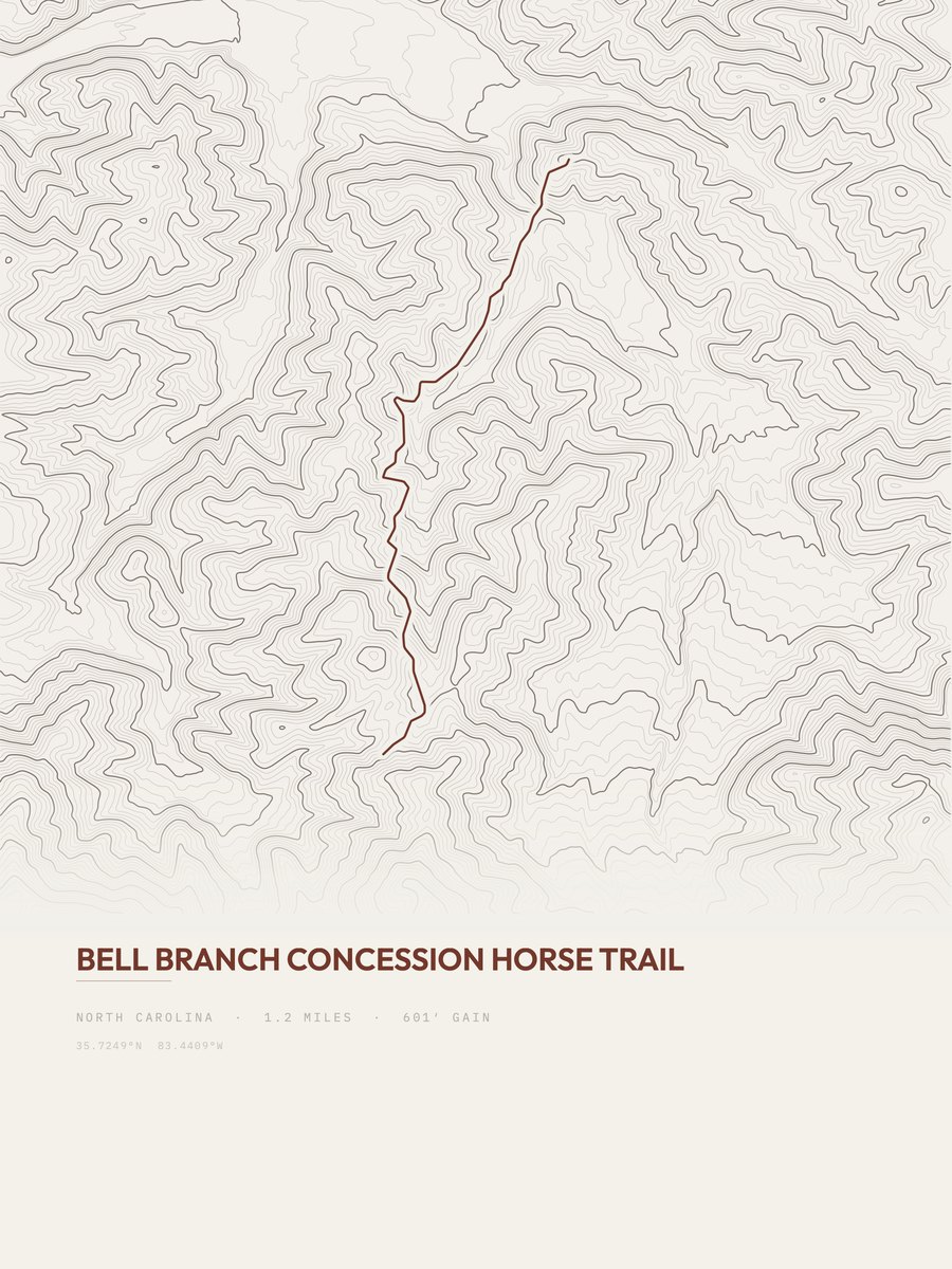 Bell Branch Topographic print