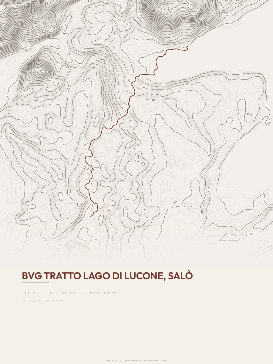 BVG Topographic print