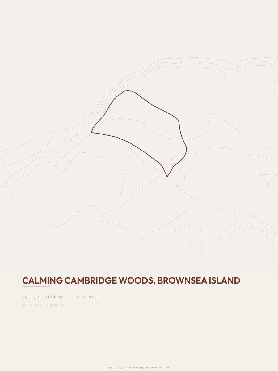 Calming Cambridge Woods topographic trail print