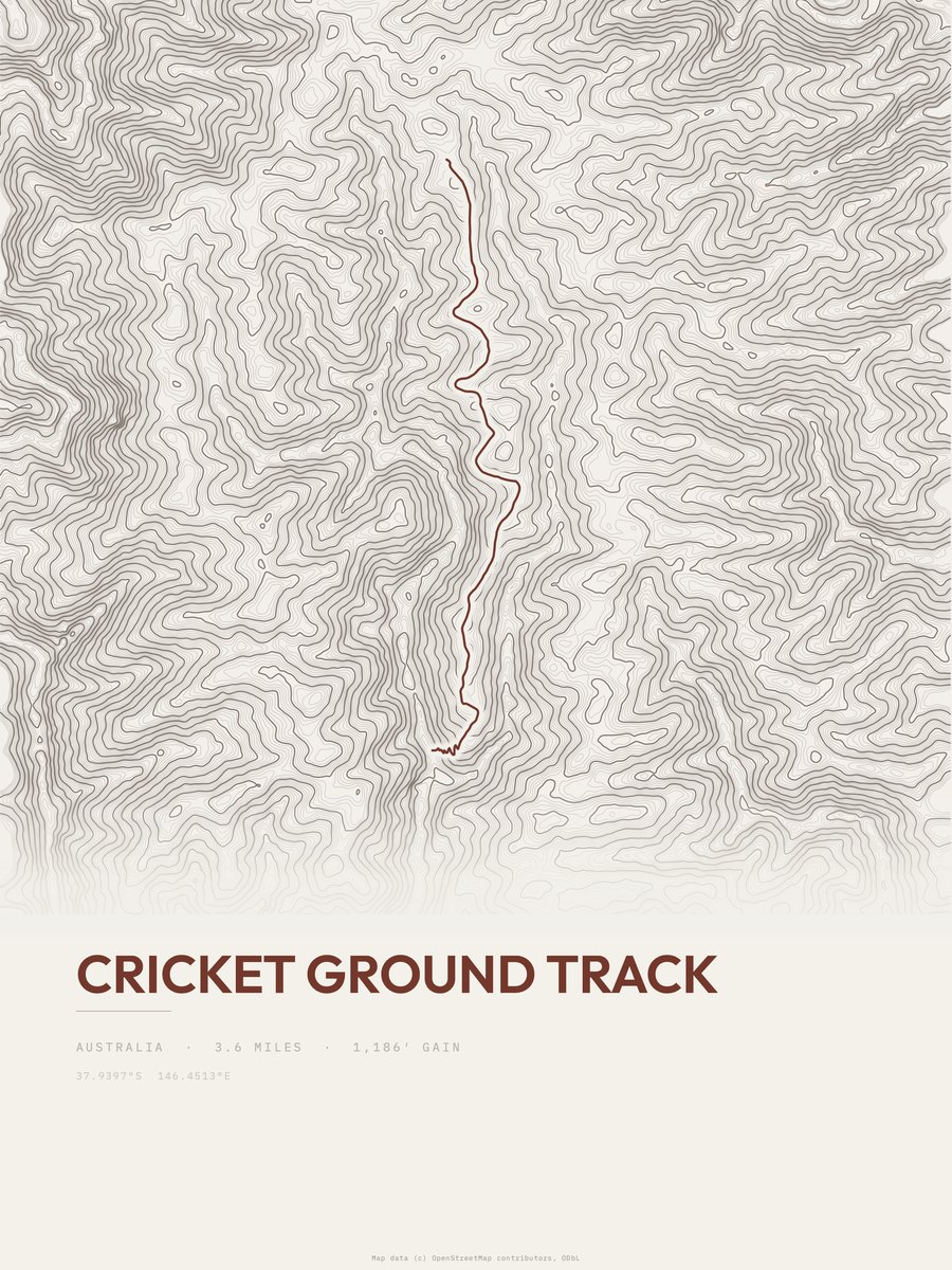 Cricket Ground Track topographic trail print