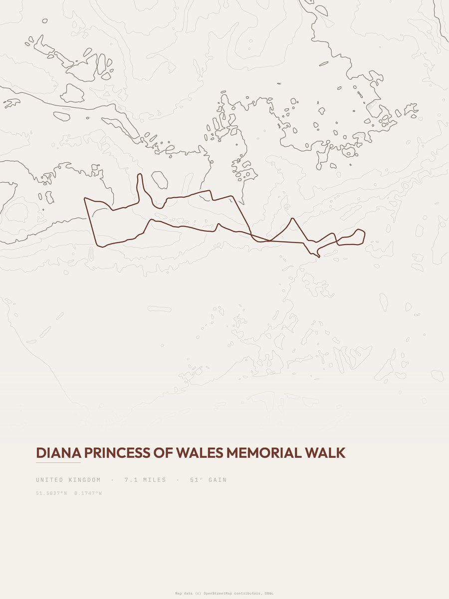 Diana, Princess of Wales Topographic print