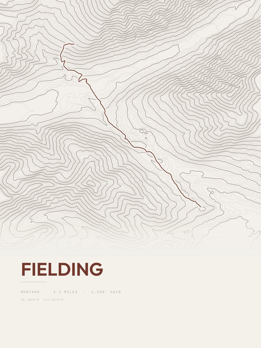 Fielding Topographic print