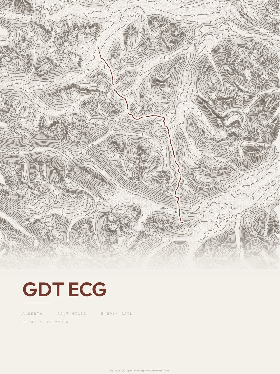 GDT ecg topographic trail print
