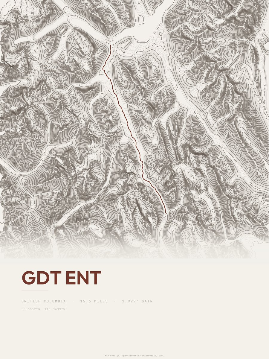 GDT ent Topographic print