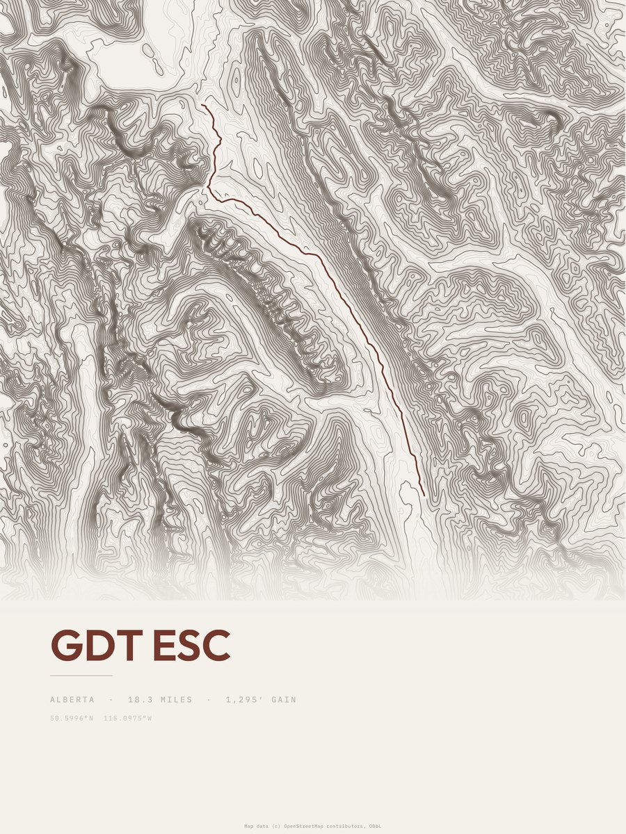 GDT esc Topographic print