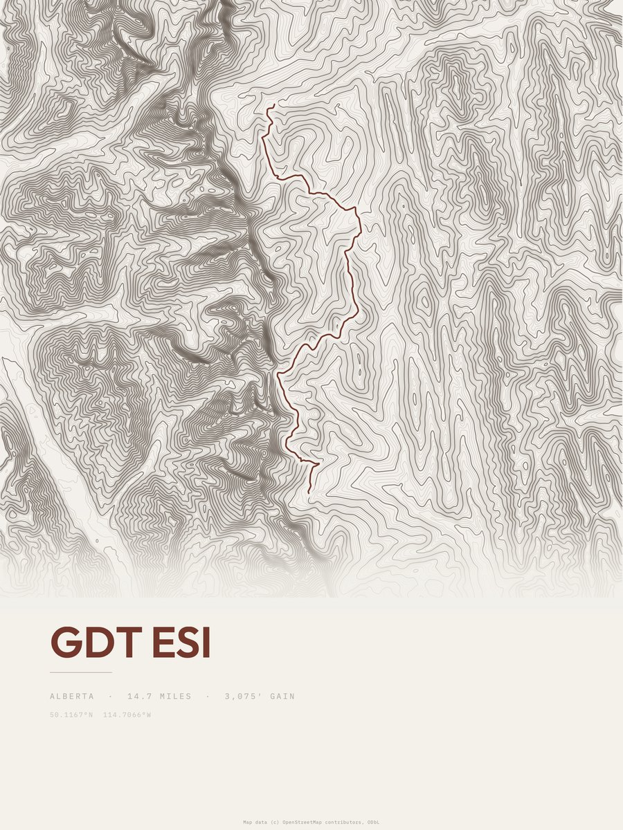 GDT esi Topographic print