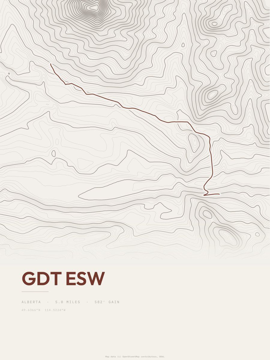 GDT esw Topographic print