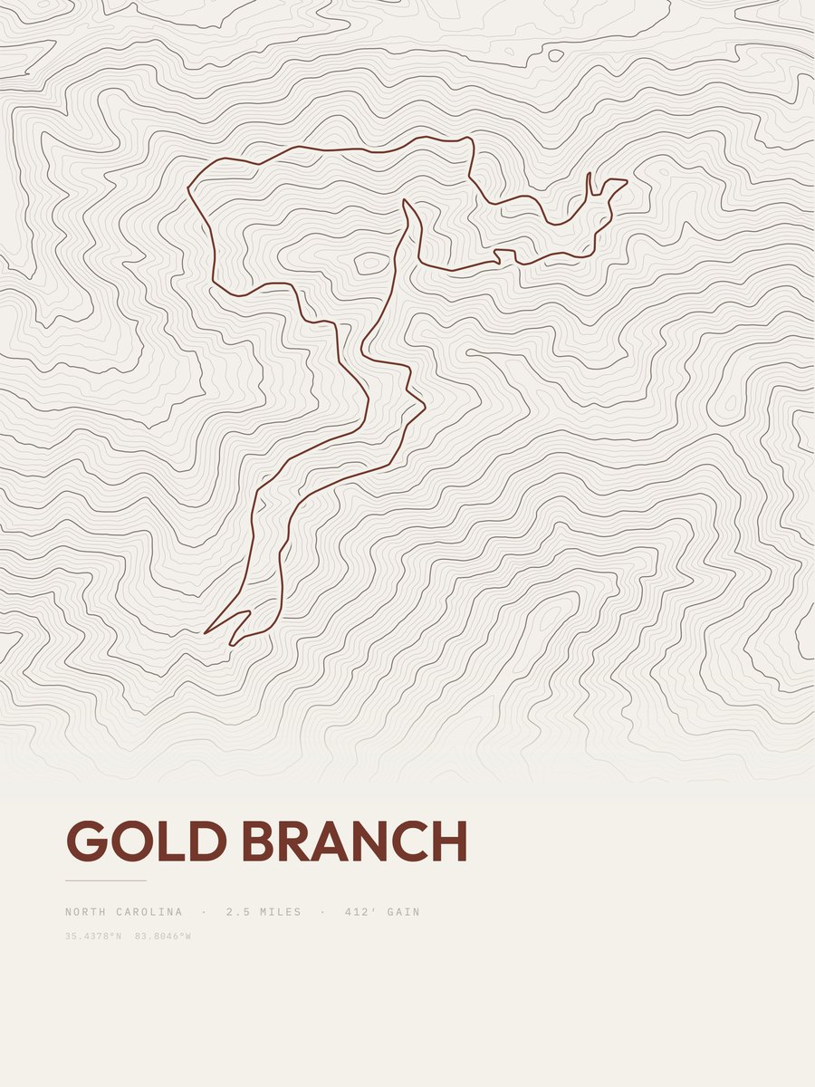 Gold Branch Topographic print
