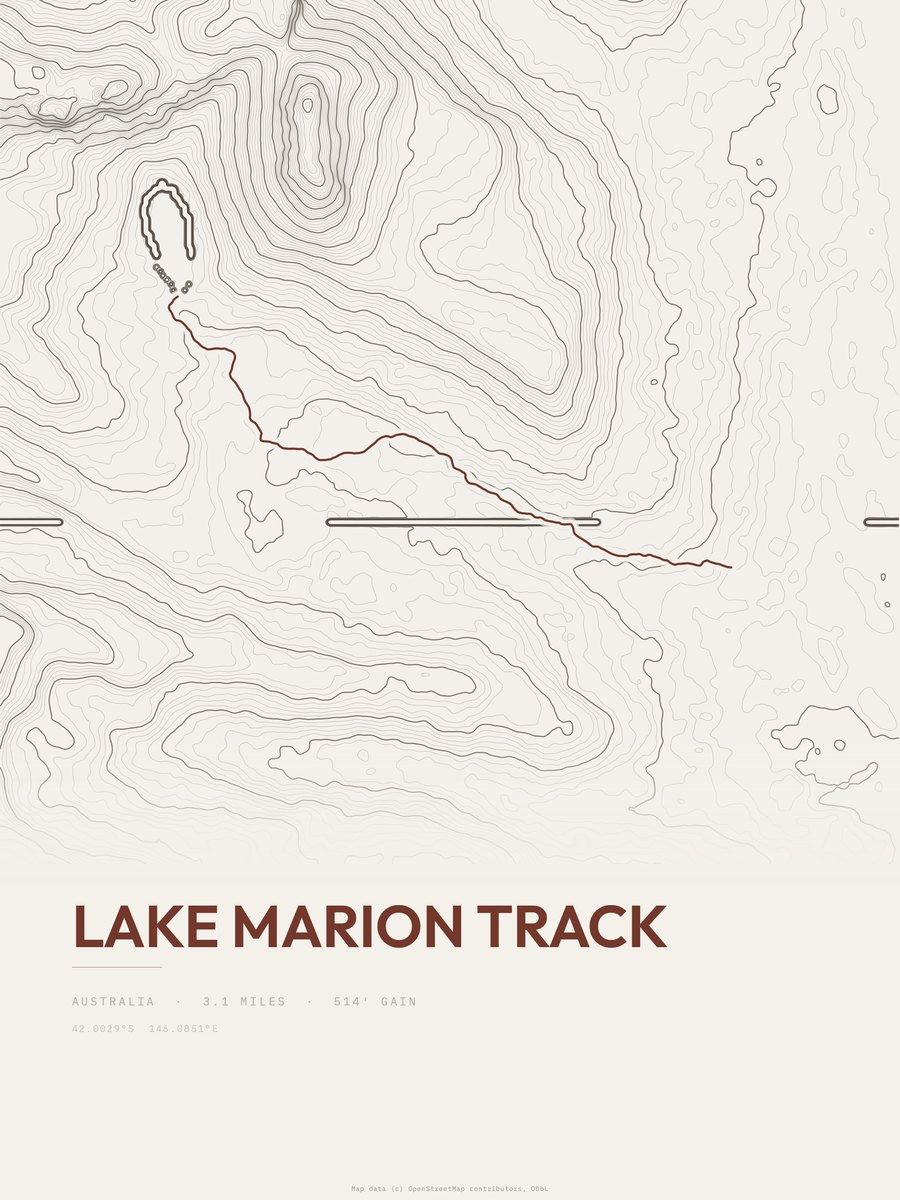 Lake Marion Track Topographic print