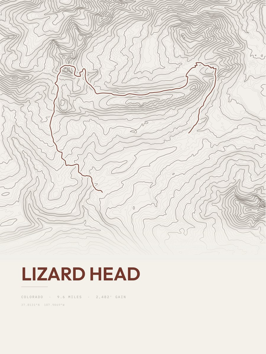 Lizard Head Topographic print