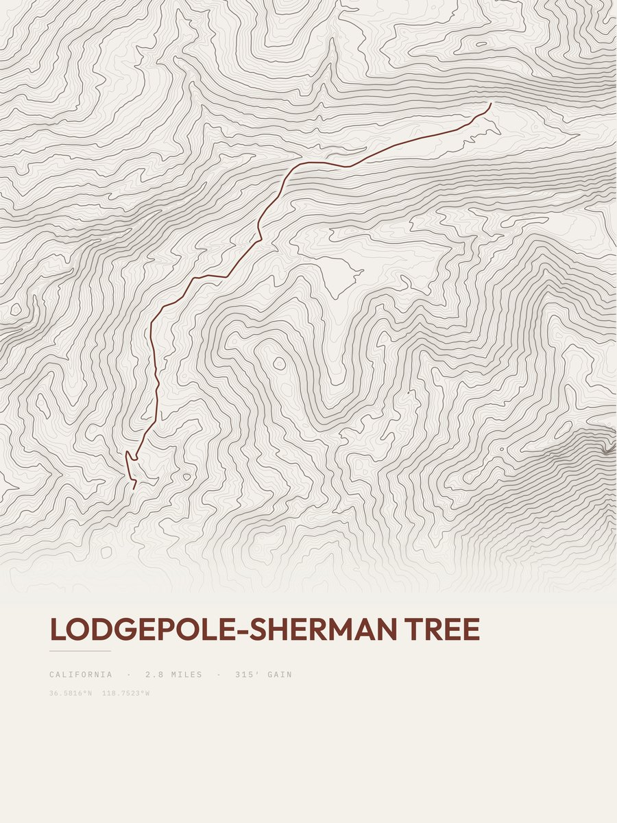 Lodgepole-Sherman Tree topographic trail print
