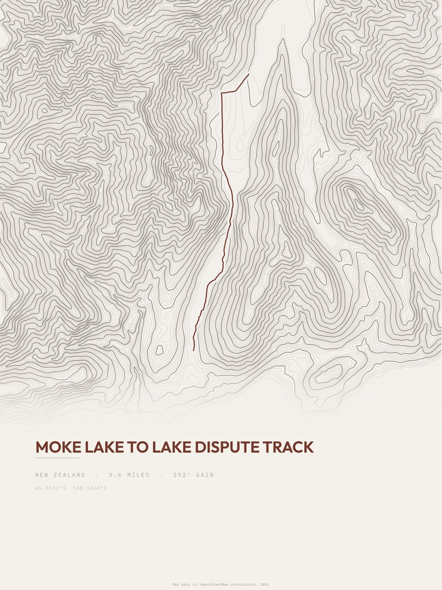 Moke Lake to Lake Dispute Track topographic trail print