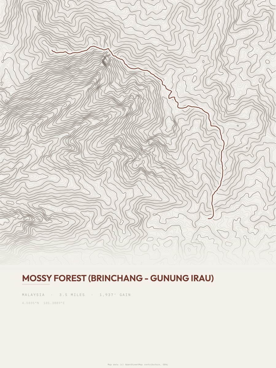 Mossy Forest topographic trail print
