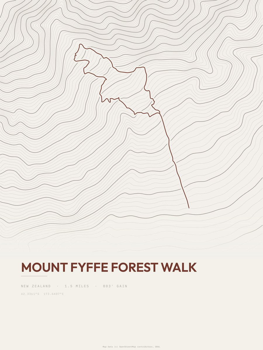Mount Fyffe Forest Walk topographic trail print