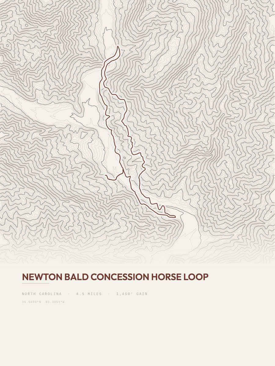 Newton Bald Topographic print