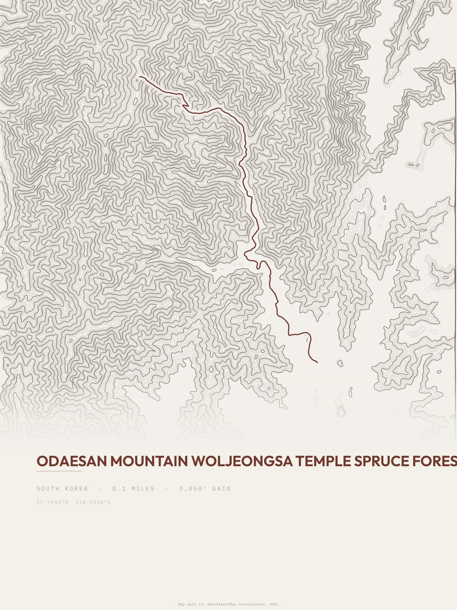 Spruce Forest Walkway topographic trail print
