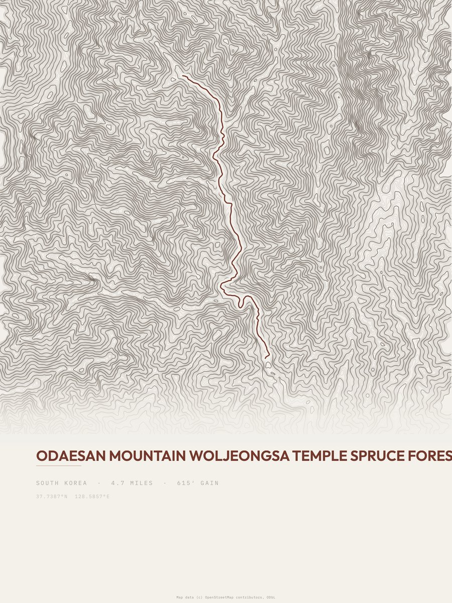 Woljeongsa Spruce Forest Walkway topographic trail print