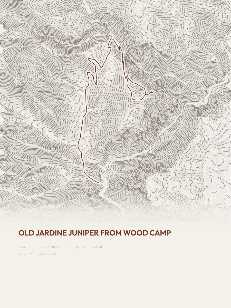 Old Jardine Juniper Topographic print