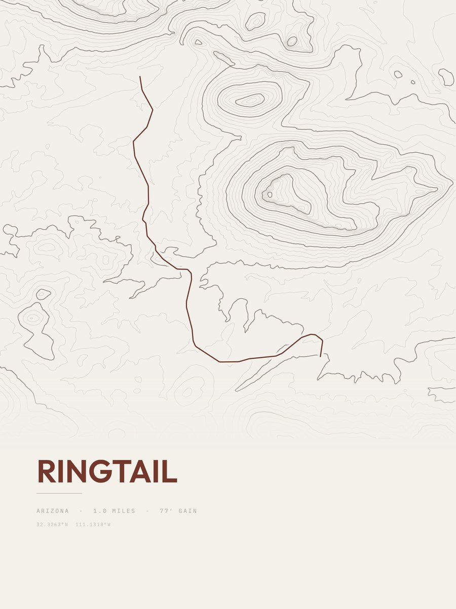 Ringtail topographic trail print