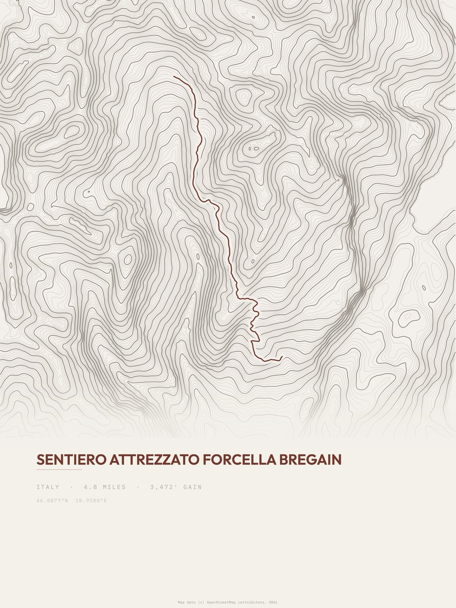 Forcella Bregain Topographic print
