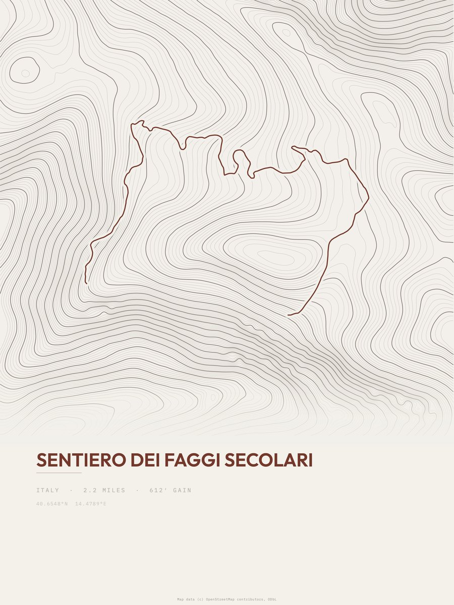 Sentiero dei faggi secolari topographic trail print