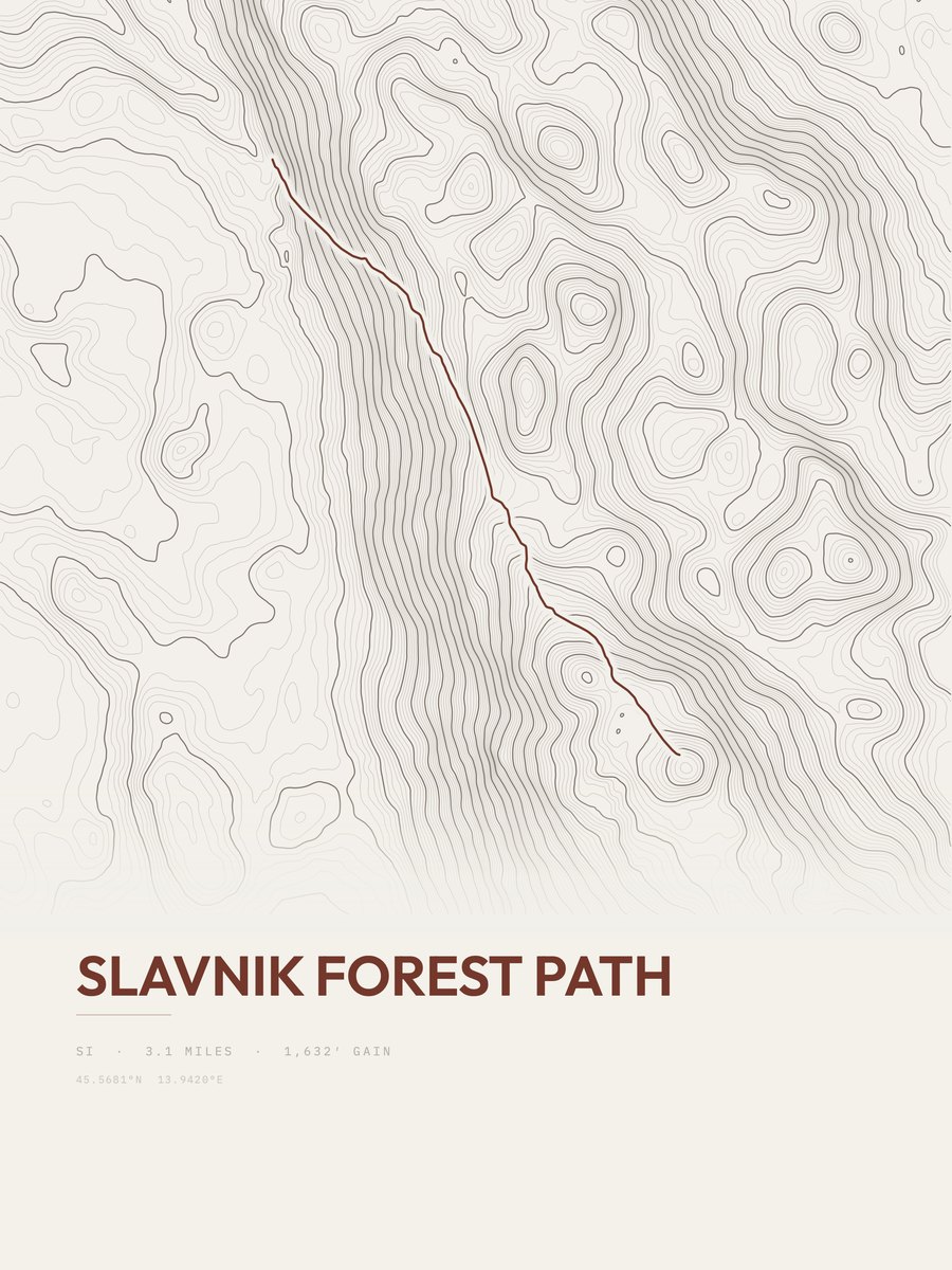 Slavnik Forest Path Topographic print