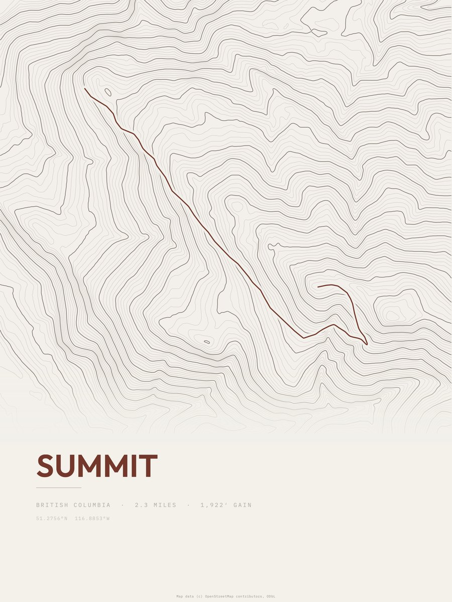 Summit topographic trail print
