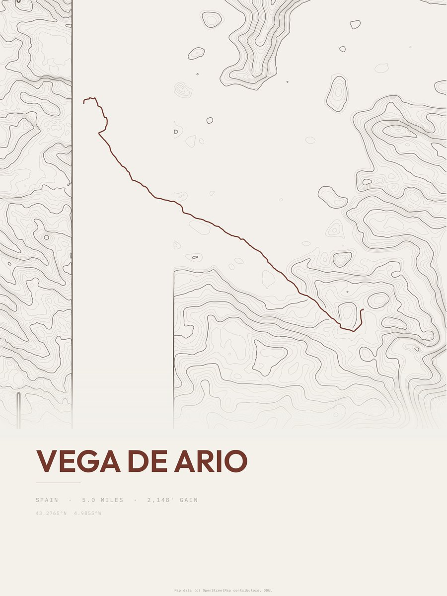 Vega de Ario Topographic print