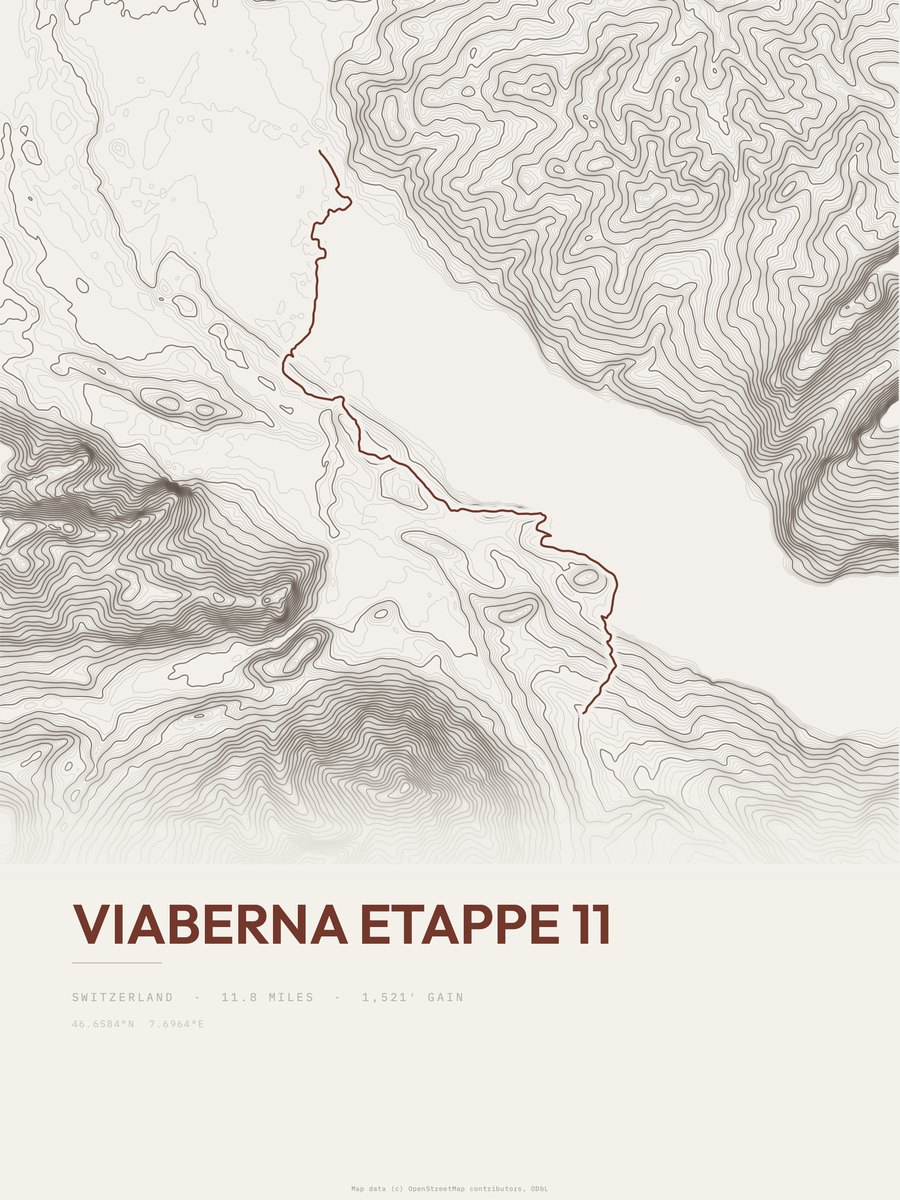 ViaBerna Topographic print