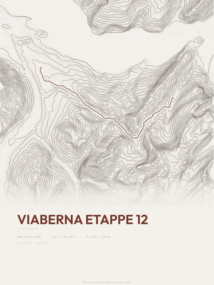 ViaBerna Topographic print