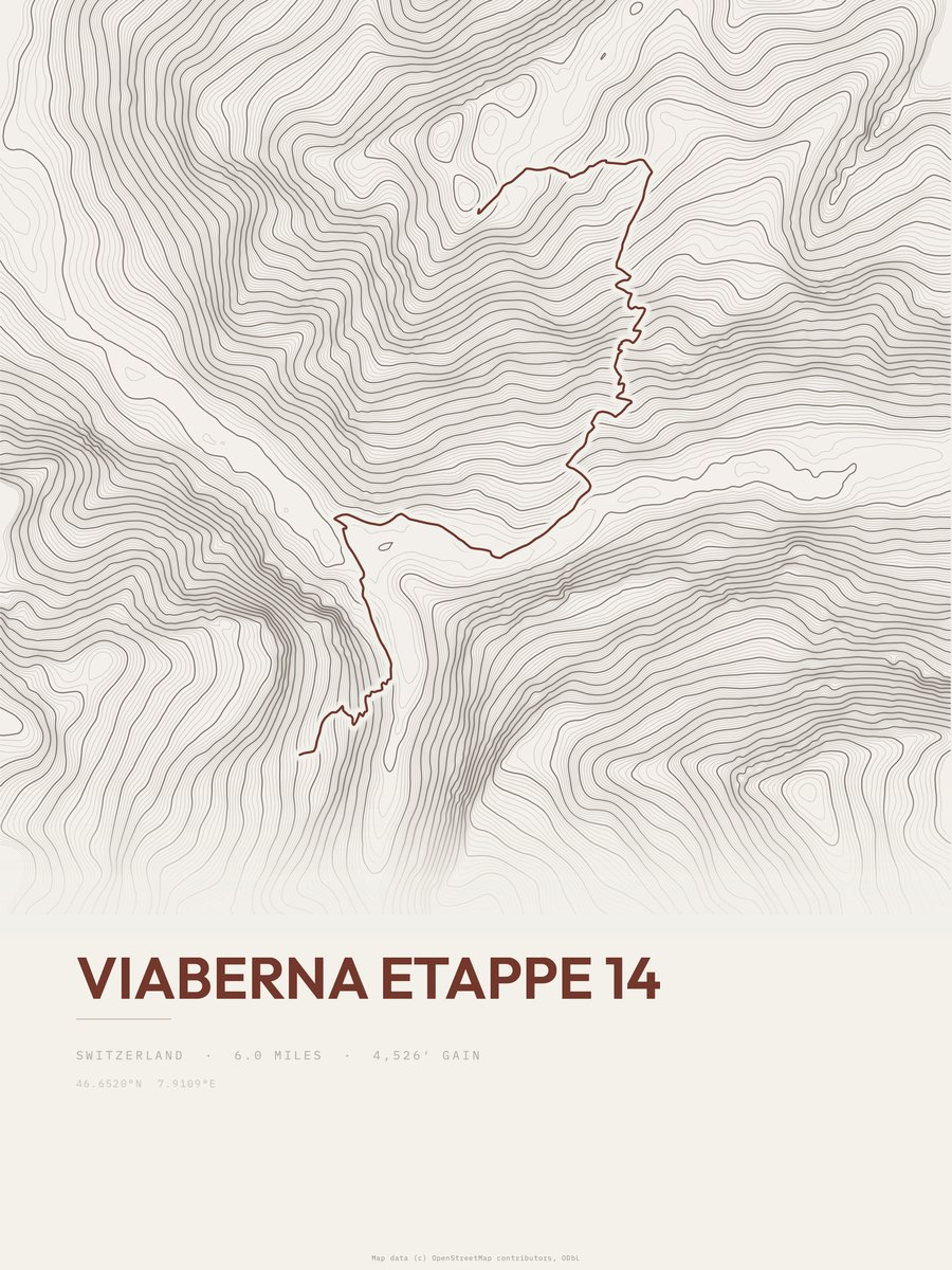 ViaBerna Topographic print