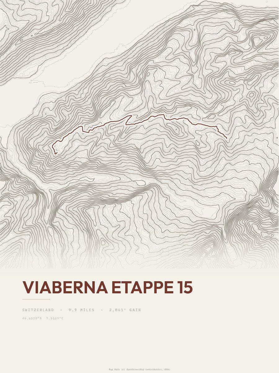 ViaBerna Topographic print