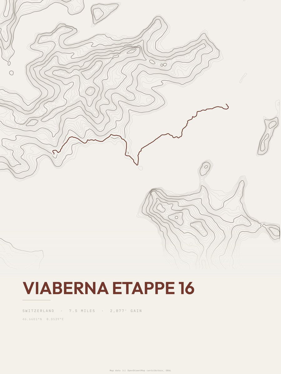 ViaBerna Topographic print